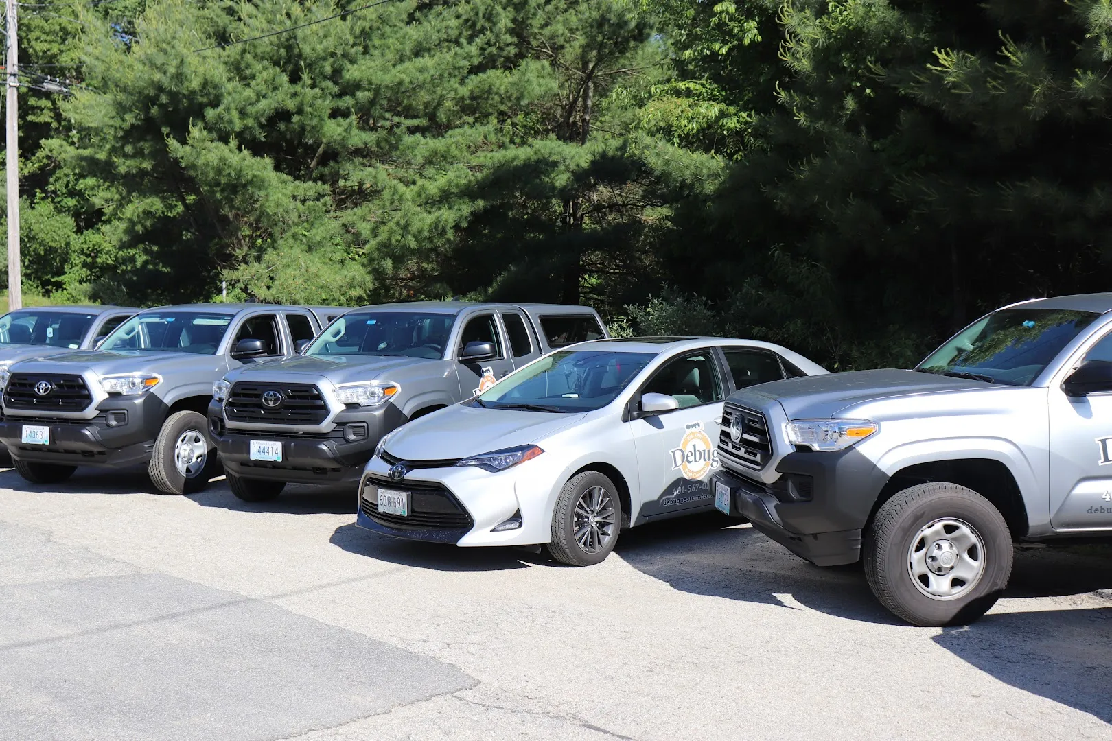 Debug Pest Control - Rhode Island — pest control in El Paso, EL PASO County, TX