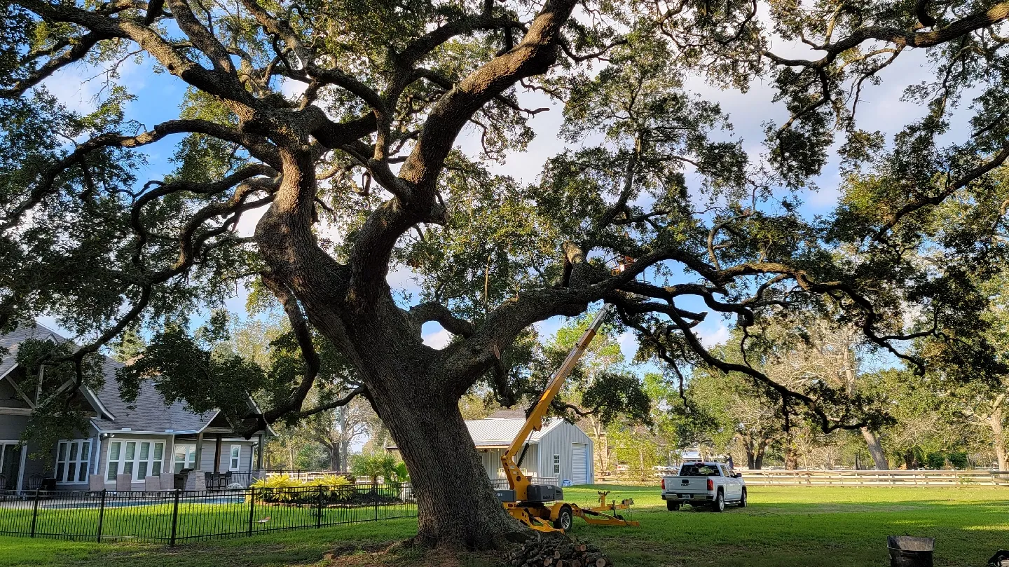 Advanced Landscape Solutions — pest control in Angleton, BRAZORIA County, TX