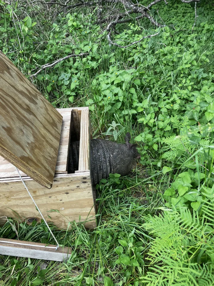 Monitor Pest Control in New Braunfels, TX — business photo 3