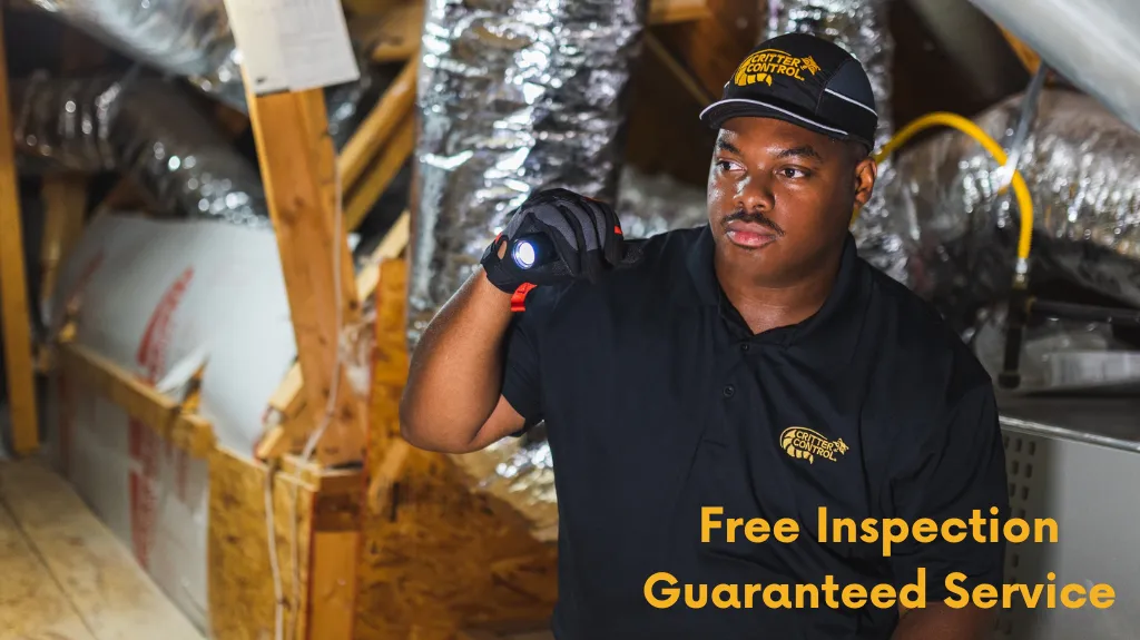 Critter Control Austin in Austin, TX — business photo 2