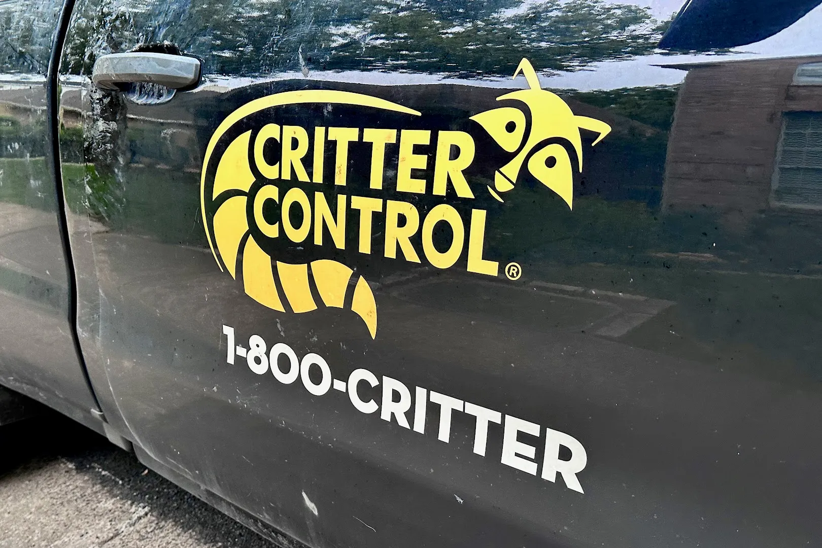 Critter Control Austin in Austin, TX — business photo 3
