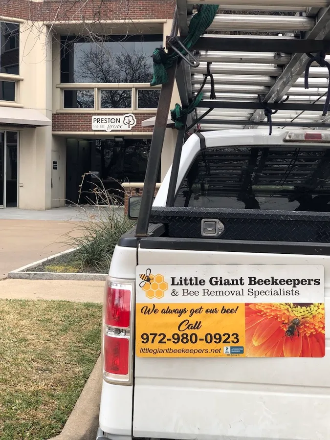 Little Giant Beekeepers & Bee Removal Specialists in Dallas, TX — business photo 4