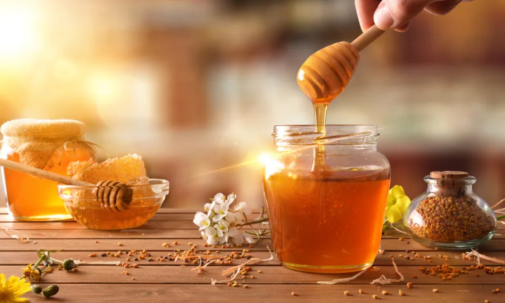 Little Giant Beekeepers & Bee Removal Specialists in Dallas, TX — business photo 5