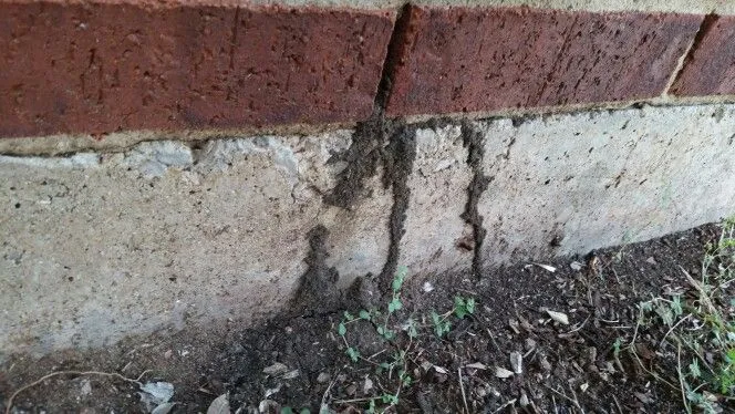 Big Pest Solutions in San Antonio, TX — business photo 6