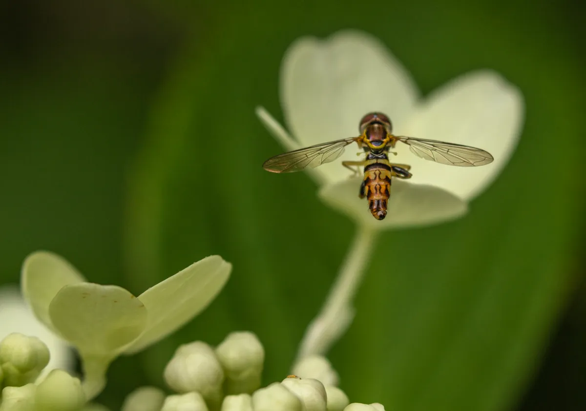 Lagniappe Exterminating in Gainesville, TX — business photo 2