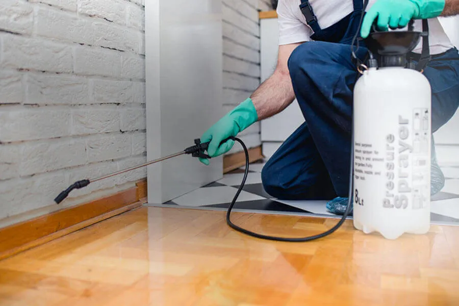 Aattaboy Pest Control — pest control in Orange, ORANGE County, TX