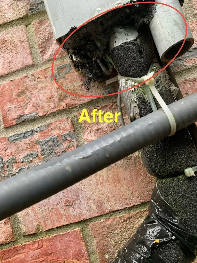 Sharp's Rodent Prevention,LLC in Houston, TX — business photo 6
