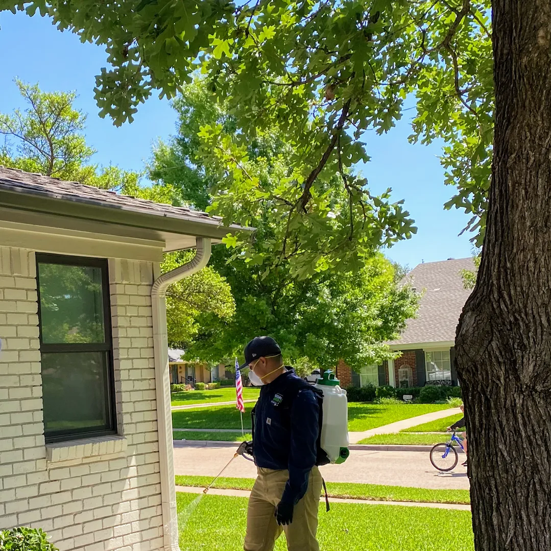 Urban Green Pest Solutions — pest control in Dallas, DALLAS County, TX