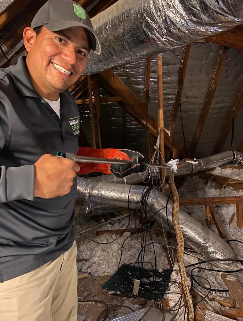 Urban Green Pest Solutions in Dallas, TX — business photo 5