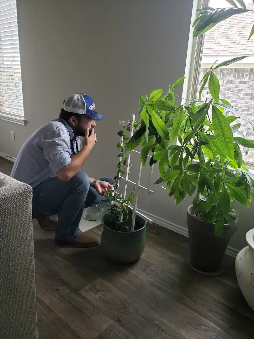 Huntsville Pest Control in Madisonville, TX — business photo 3