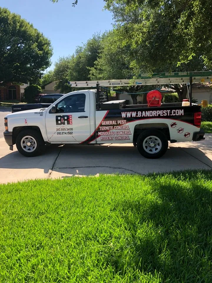 B&R Pest Services in Seguin, TX — business photo 2