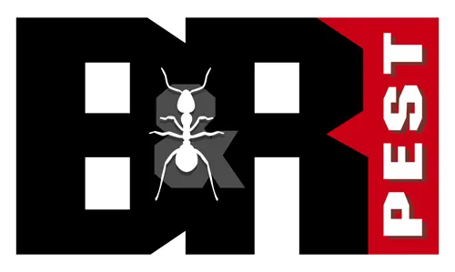 B&R Pest Services in Seguin, TX — business photo 3