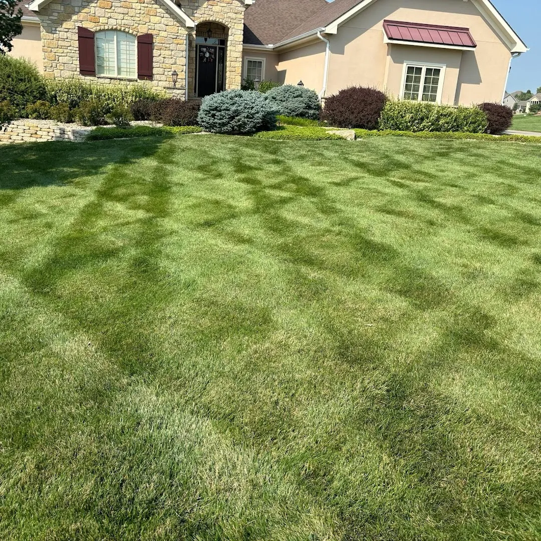 Brockman Lawn Care — pest control in New Braunfels, COMAL County, TX