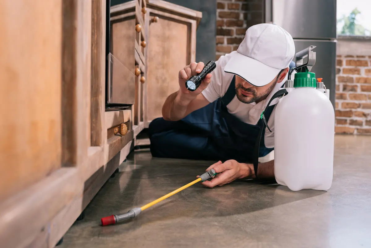 Coastal Exterminating Co in Houston, TX — business photo 2