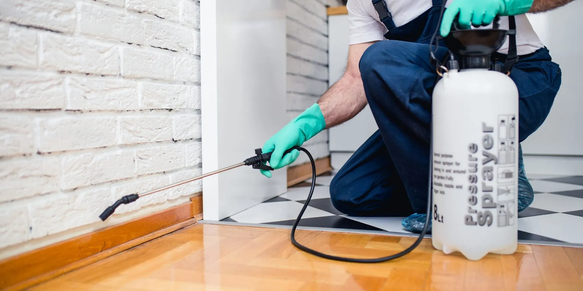 Baywood Exterminating Company — pest control in Houston, HARRIS County, TX