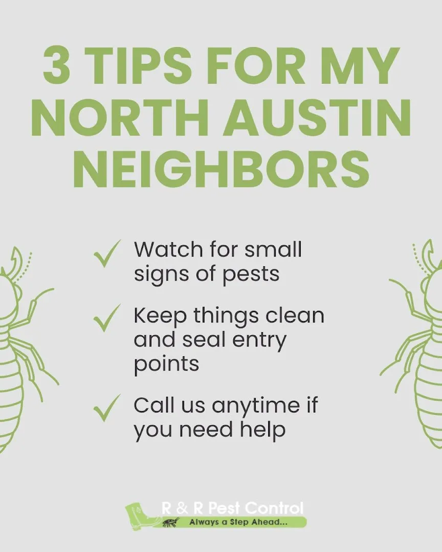 R&R Pest Control Austin in Austin, TX — business photo 4
