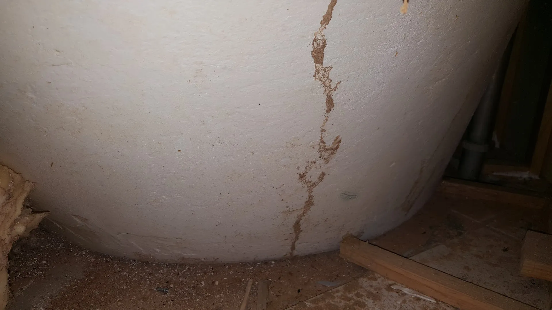 TexGuard Pest Management, LLC in Gilmer, TX — business photo 4