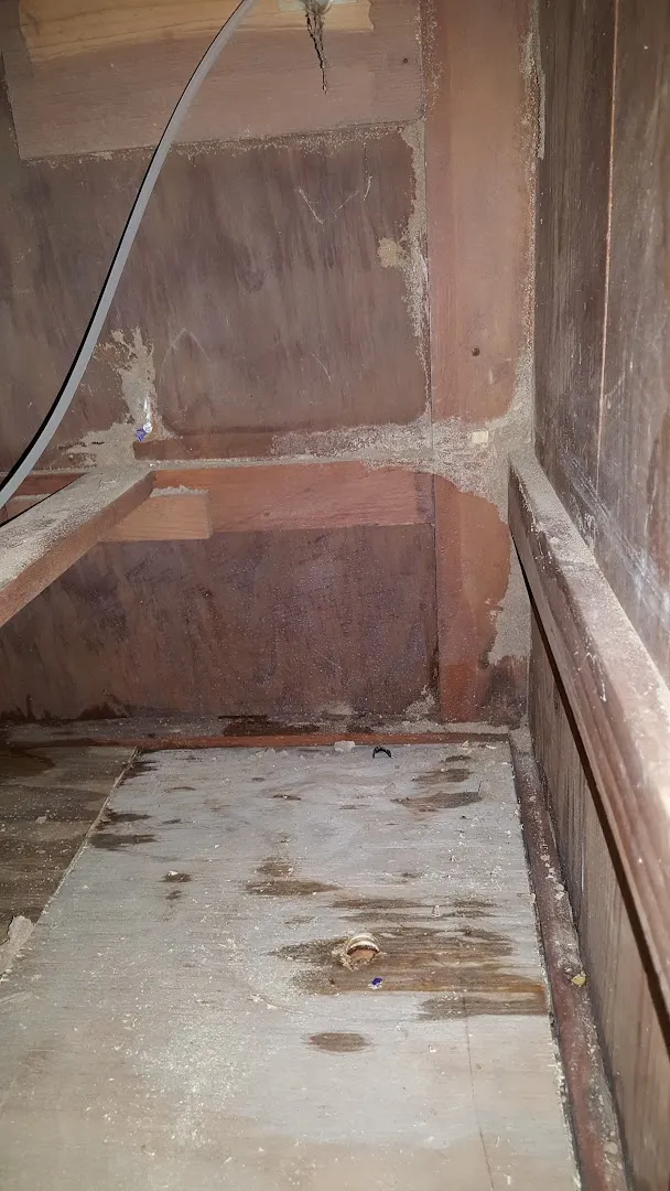 TexGuard Pest Management, LLC in Gilmer, TX — business photo 5