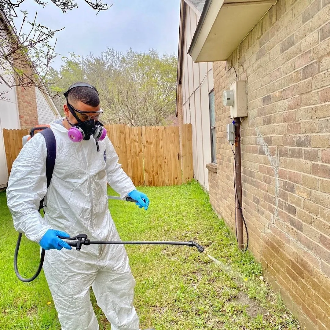Brady Pest Control in Dallas, TX — business photo 4