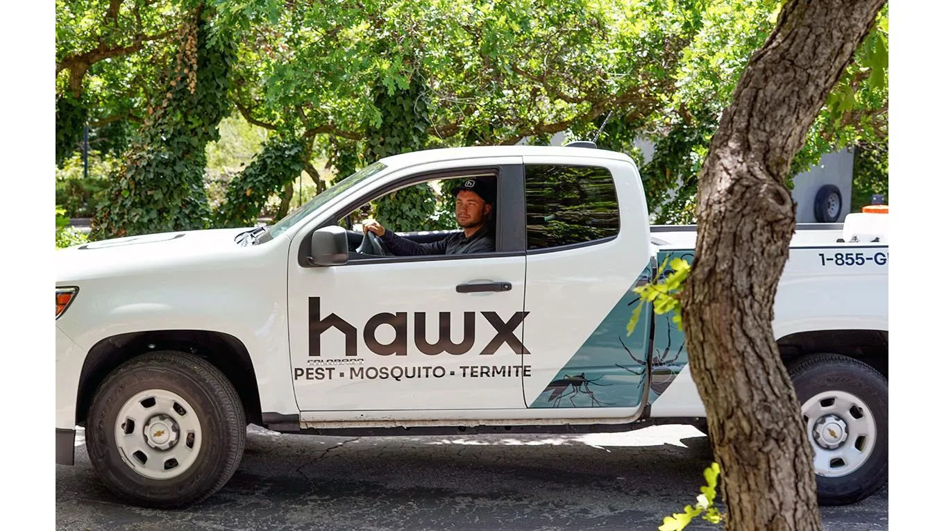 Hawx Pest Control — pest control in San Antonio, BEXAR County, TX