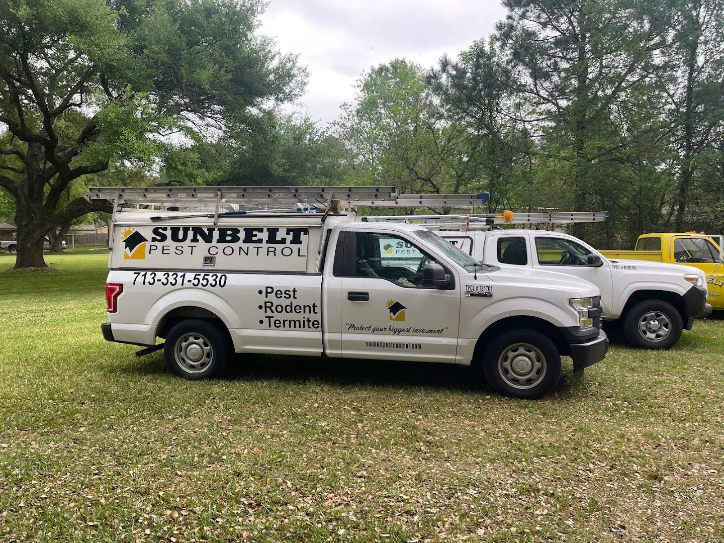 Sunbelt Pest Control — pest control in Houston, HARRIS County, TX