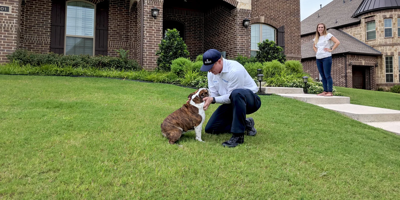 Moxie Pest Control - San Antonio — pest control in San Antonio, BEXAR County, TX