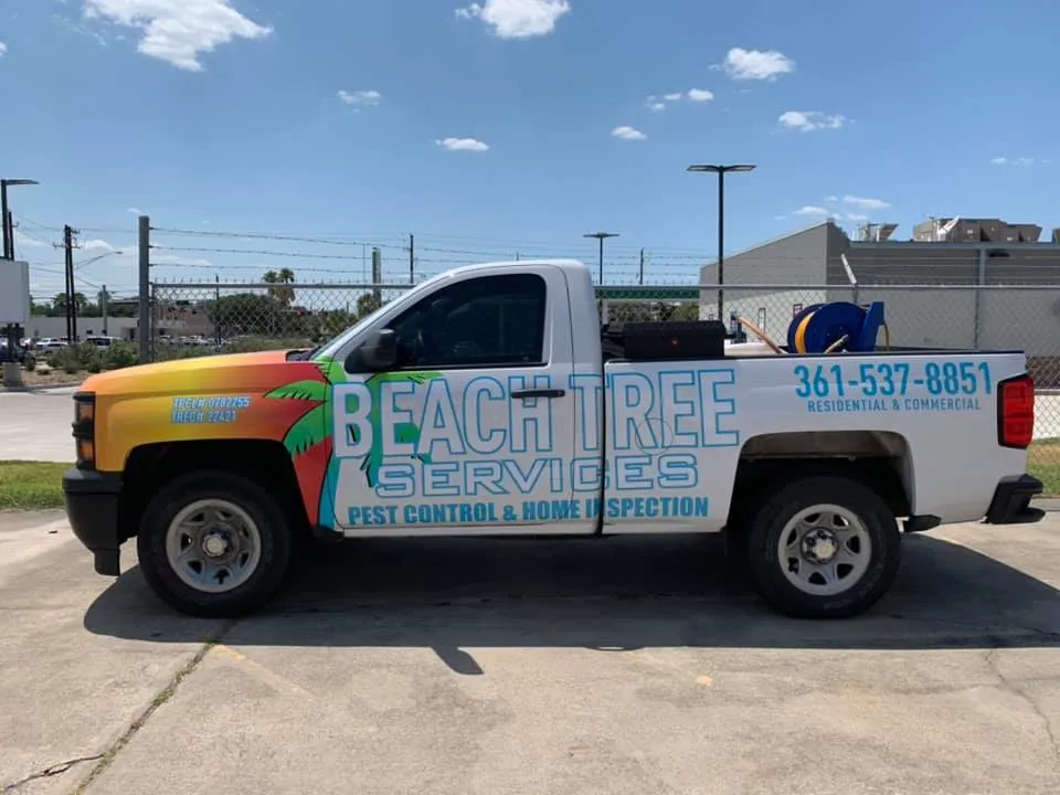 Beach Tree Services in Corpus Christi, TX — business photo 3