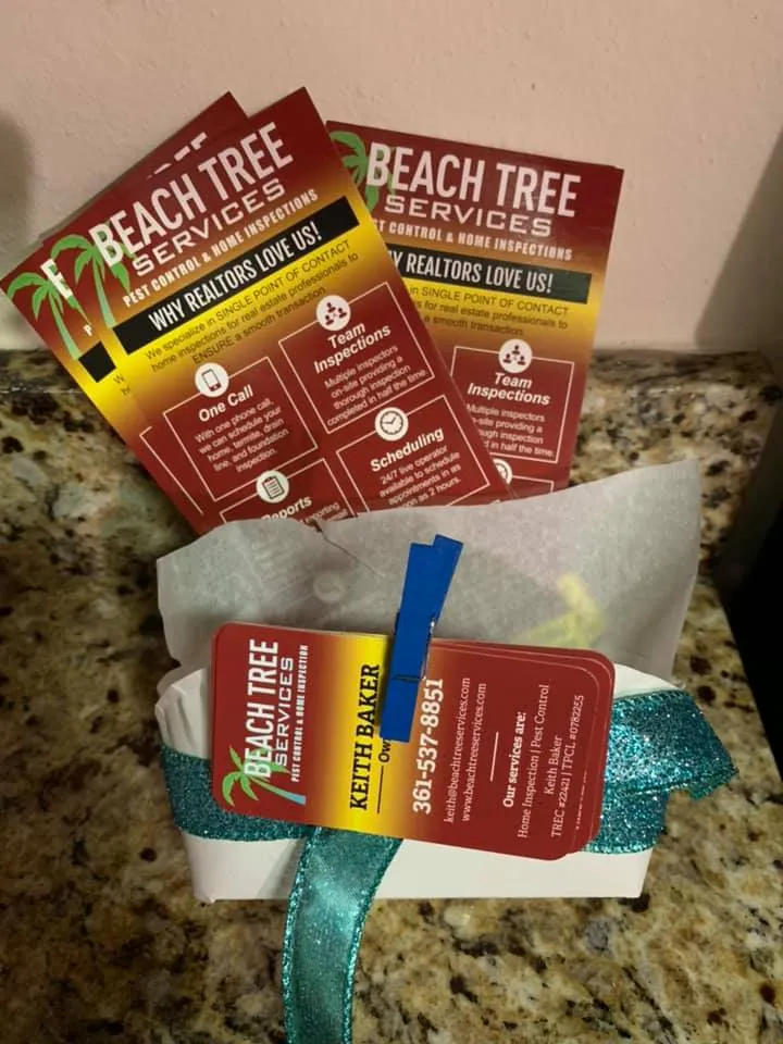 Beach Tree Services in Corpus Christi, TX — business photo 6