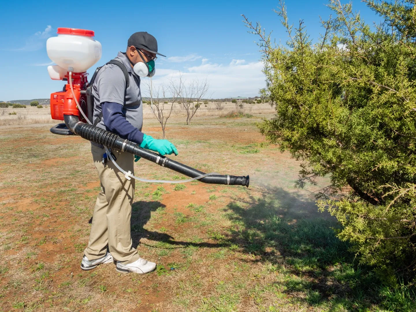 3 Guys Pest Control in Abilene, TX — business photo 4