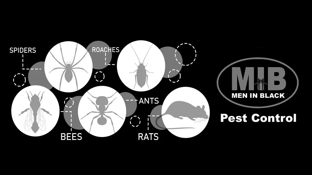 Men in Black Pest Control — pest control in Houston, HARRIS County, TX