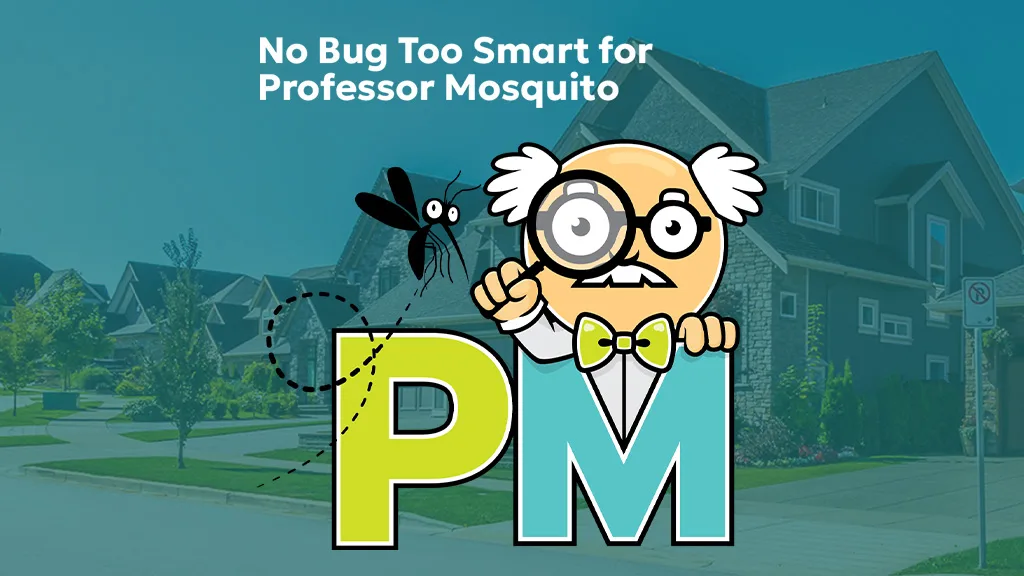Professor Mosquito in Houston, TX — business photo 2
