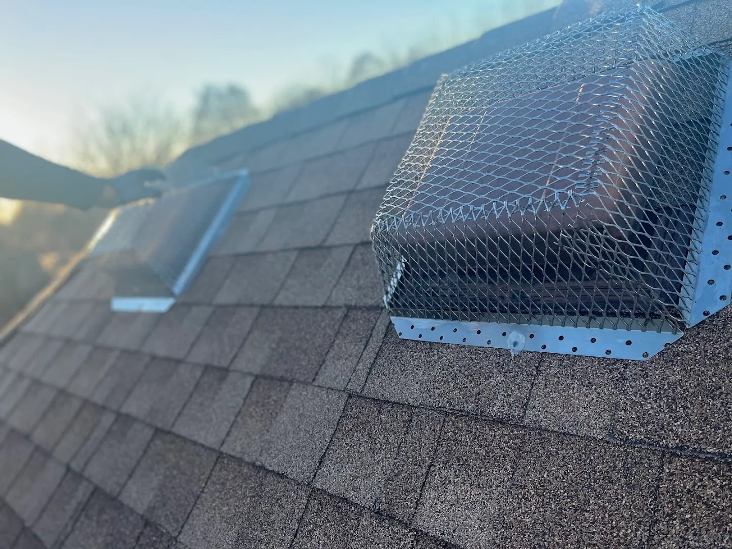 Critter Call Pest Control in Fort Worth, TX — business photo 5