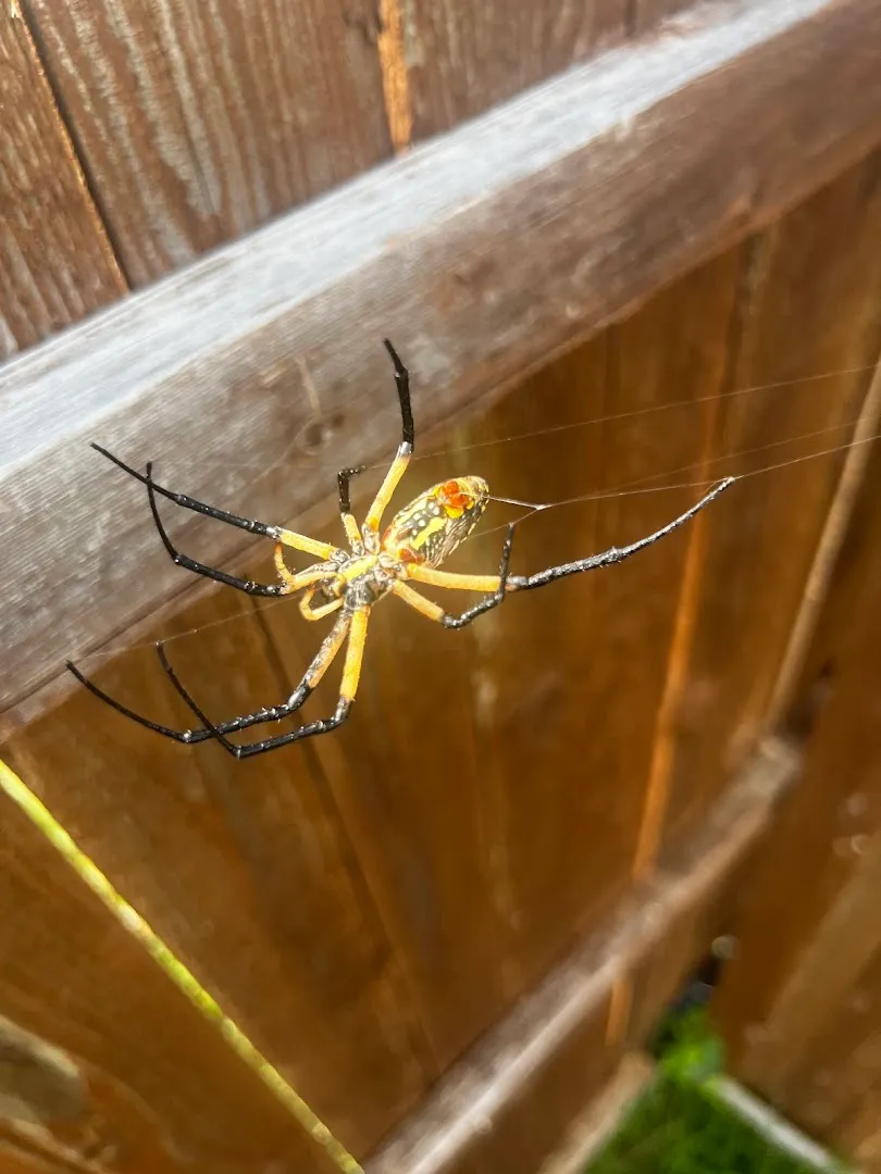 Critter Call Pest Control in Fort Worth, TX — business photo 6