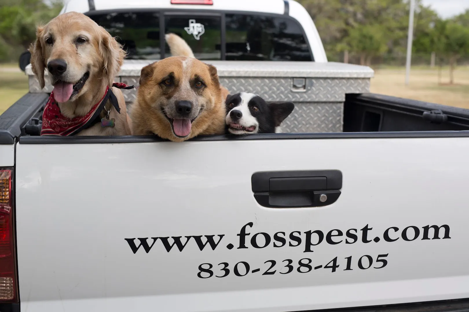 Foss Pest Control — pest control in Kerrville, KERR County, TX