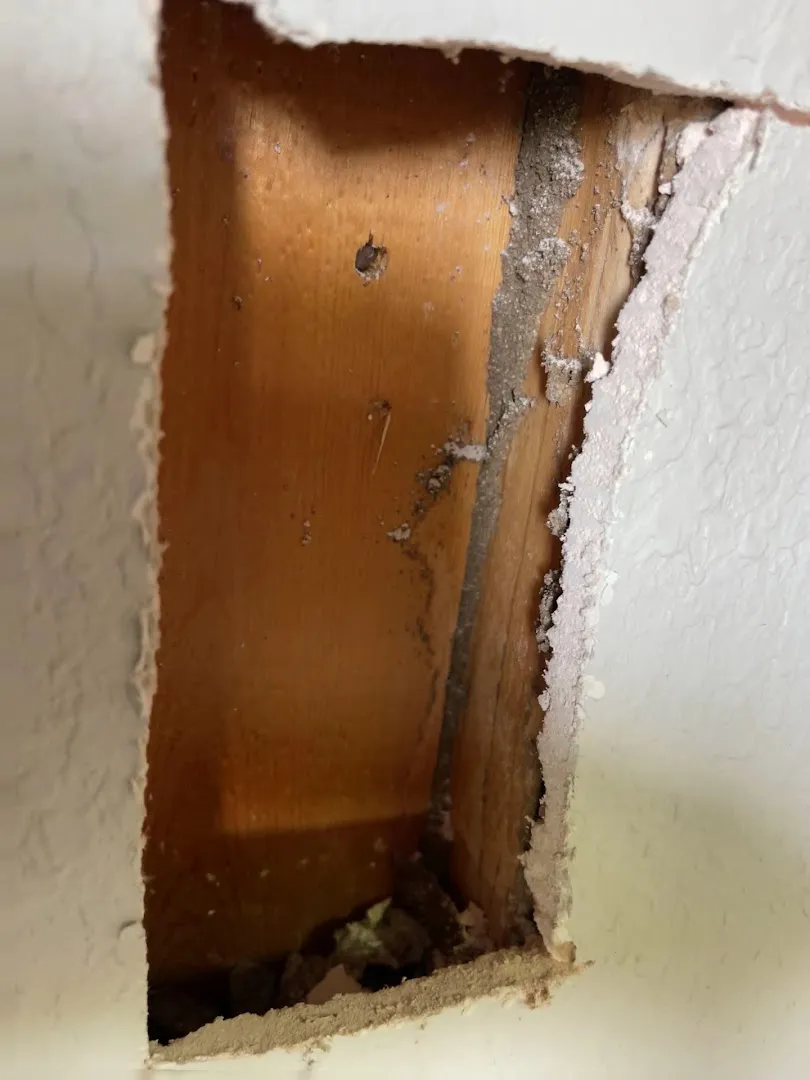 Integra Termite & Pest Control, LLC in Fort Worth, TX — business photo 3