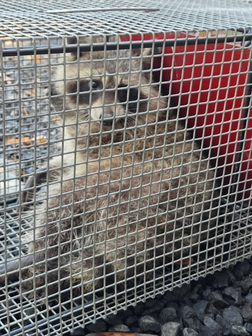 Family Pest Control in San Antonio, TX — business photo 6