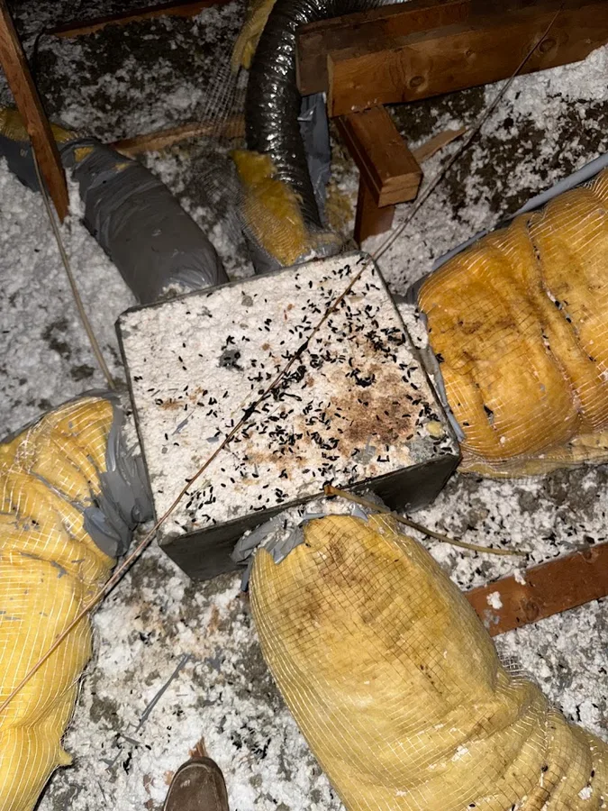 Got-A-Guy Pest Management in Red Oak, TX — business photo 5