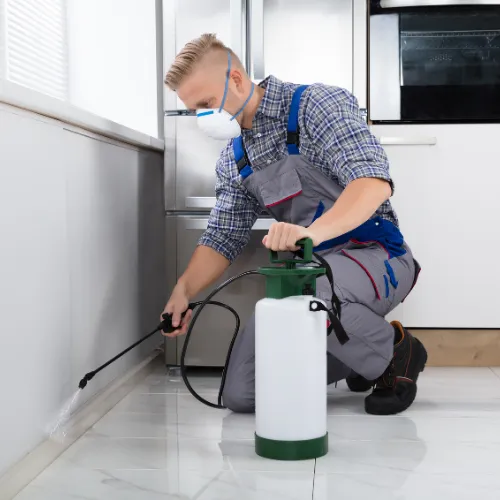 Big Tex Pest Solutions — pest control in Canyon, RANDALL County, TX