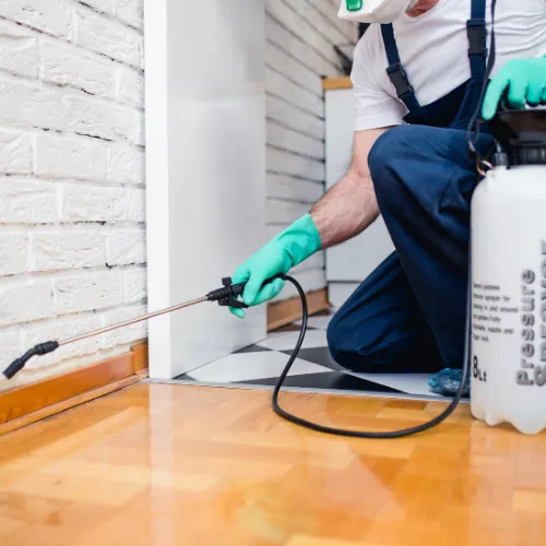 Big Tex Pest Solutions in Canyon, TX — business photo 6