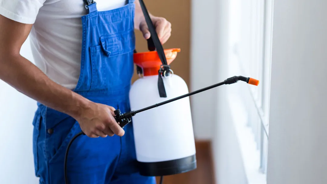 Austin Excel Pest & Lawn Control — pest control in Buda, HAYS County, TX