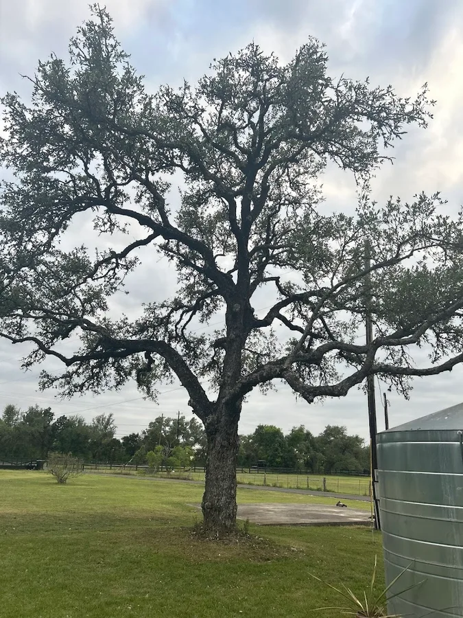 Austin Excel Pest & Lawn Control in Buda, TX — business photo 2