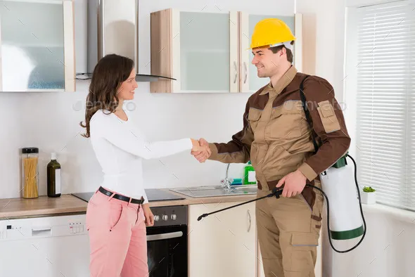 HOME SOLUTIONS: PEST CONTROL in San Antonio, TX — business photo 3