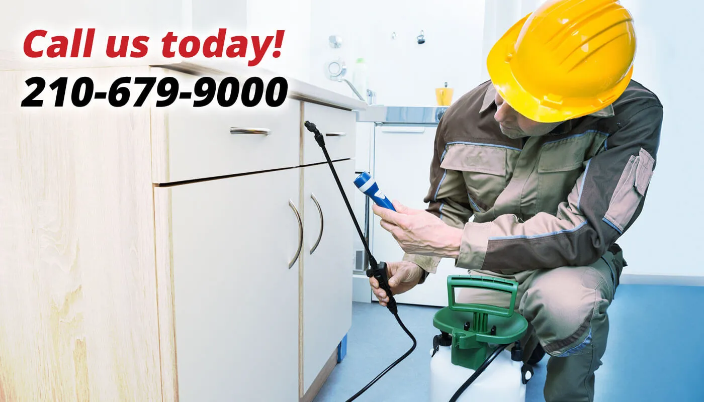 HOME SOLUTIONS: PEST CONTROL in San Antonio, TX — business photo 6