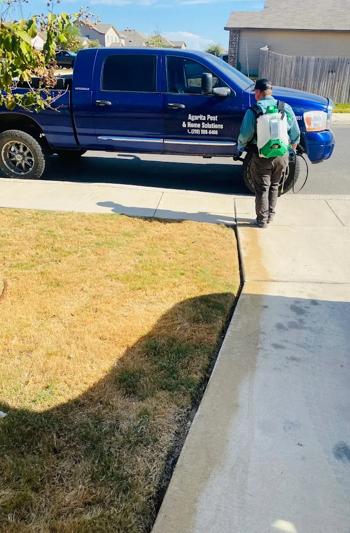 Agarita Pest & Home Solutions — pest control in Hondo, MEDINA County, TX
