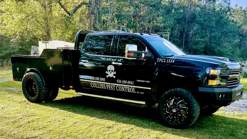 Collins Pest Control — pest control in Groesbeck, LIMESTONE County, TX