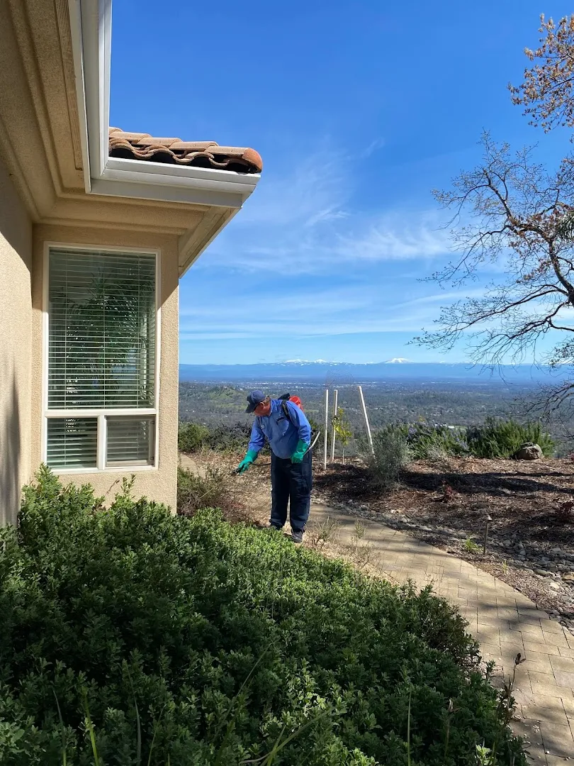 Woods Pest Control, Inc. in Hamilton, TX — business photo 5
