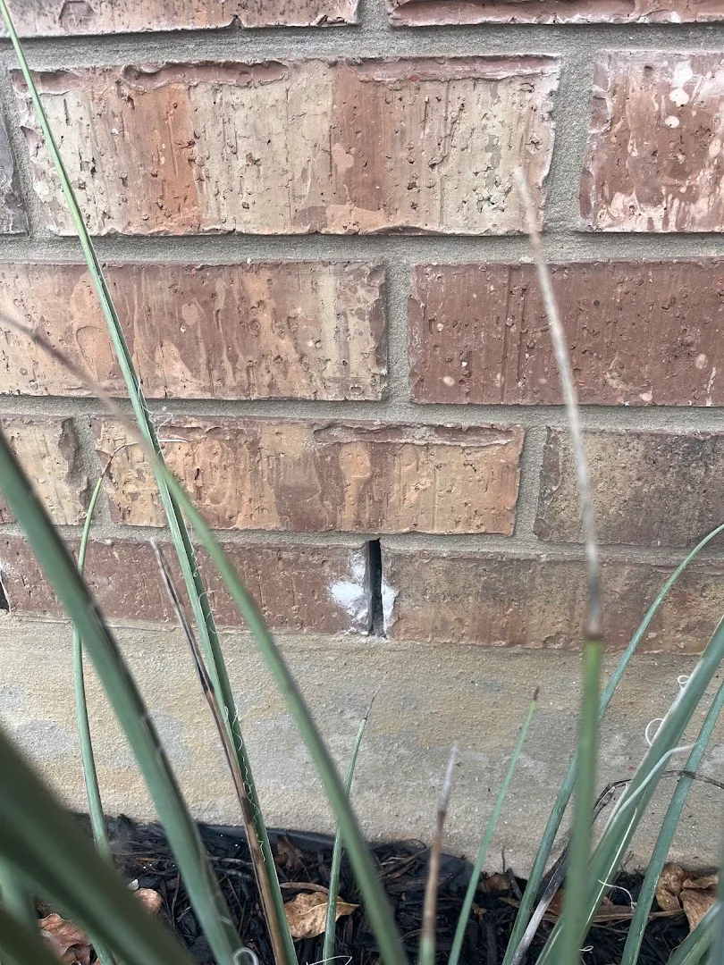 Massey Services Pest Control in San Antonio, TX — business photo 3