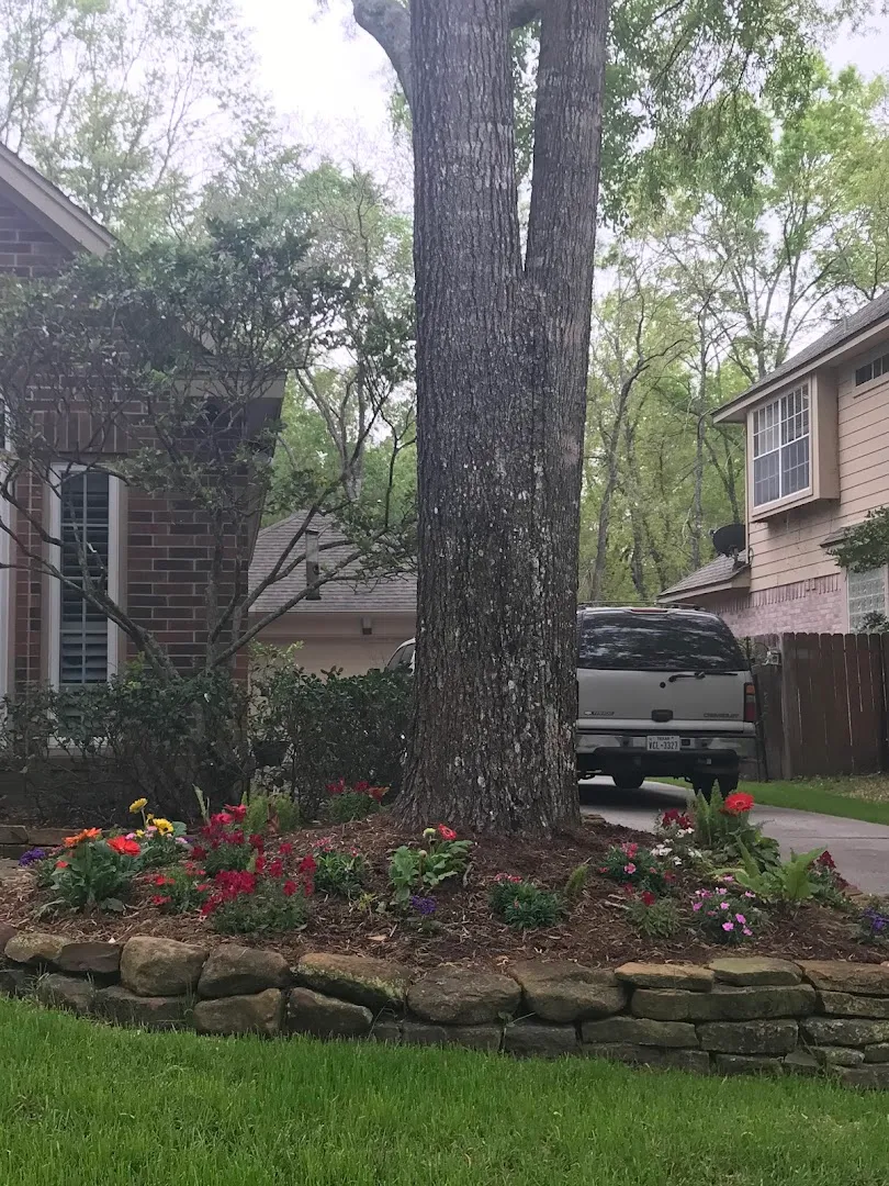 Apache Pest Control in Houston, TX — business photo 4