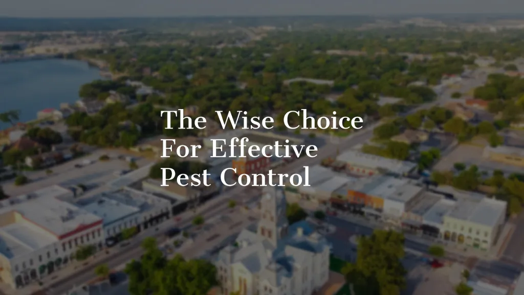 Wise / Chem Safe Pest Control — pest control in Granbury, HOOD County, TX