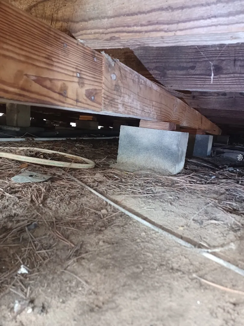 Frontline Termite & Pest Control in Georgetown, TX — business photo 5